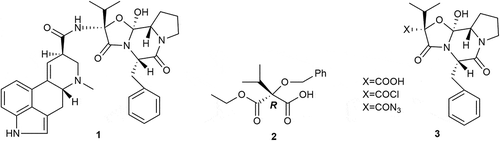 Scheme 1. Structures of ergocristine 1, (R)-monoester 2 and important intermediates 3.