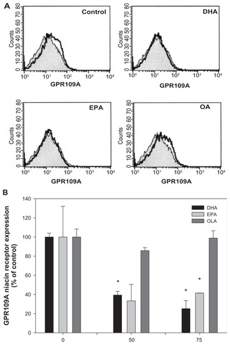 Figure 5 Effect of fatty acids on GPR109A niacin receptor expression in THP-1 macrophages.