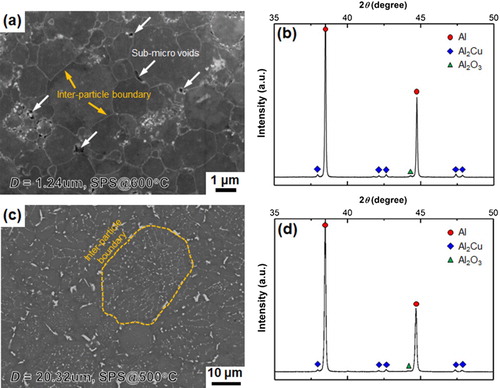 Figure 1. (a and c) SEM micrographs and (b and d) XRD patterns of bulk samples consolidated from (a and b) fine and (c and d) medium powders.