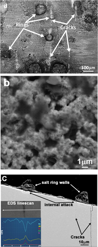 Figure 2. (a) SEM image showing parallel cracks (bright lines) emanating from salt-ring features on the surface of a CMSX-4 c-ring test piece, (b) low-z beam sensitive amorphous material in porous nickel oxide and (c) cracks in substrate beneath a cross sectioned salt ring, with EDS line-scan inset showing enhanced O, Cl and Al concentrations in a crack (2 hours testing at 550°C).
