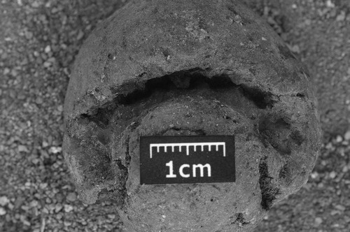 Figure 1. Marks from bite of milk teeth in a clay ball from the lower levels at Catalhoyuk (source: Simon Hillson, reproduced from Hodder (2011)). Such evidence may be helpful in determining whether young children in a settlement were sufficiently proximal to the drama of technology for it to contribute to their longer-term development as individuals and, thereby, to the culture-carrying capacities of their community.