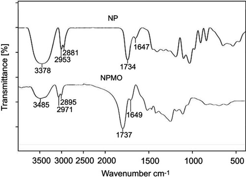 Figure 1 FTIR spectrum of polymeric nanoparticles (NP) and polymeric nanoparticles modified by oleic acid (NPMO).