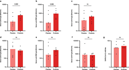 Figure 2. Serum anti-SARS-CoV-2 specific antibody (a-f) and virus-neutralizing antibody levels (g) in study participants who were infected during the study period (intention-to-treat population). S = spike, RBD = receptor-binding domain, N = nucleocapsin, nAB = neutralizing antibody. Statistical comparisons between the groups were performed with independent t-test using log-transformed values except nAB titers which were compared with non-parametric Mann-Whitney test. The bar plots show median, and the dots represent individual values within the group.