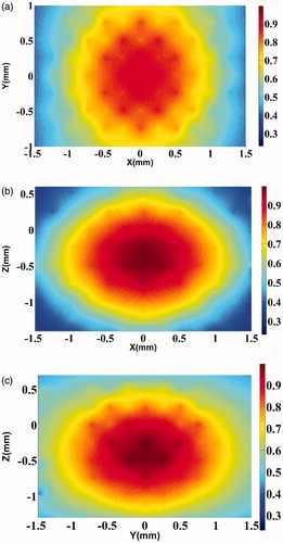 Figure 4. Axial cross-section of the maximum displacement in the focal region when driven by the difference frequency force obtained by “mixing” the radiation from the two transducers on the agarose phantom. (a) Simulated displacements in the Y–X plane of the agarose phantom. The colour bar shows normalised displacement magnitude. (b) Same as Figure 4(a), but in the Z–X plane. (c) Same as Figure 4(a), but in the Z–Y plane.