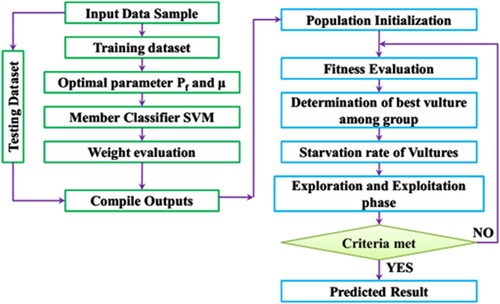 Figure 3. ESVM-based AVO for plagiarism detection.