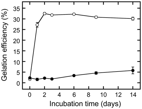 Figure 5. Effect of incubation time on gelation. An extract was prepared by boiling and subsequently sieving a suspension containing ground beans. The extract was then incubated at 4 °C (open circles) or 20 °C (closed circles) for between 0 and 14 days. Gelation efficiency was calculated as in Figure 1. Data are expressed as the means ± standard deviations of three independent experiments.