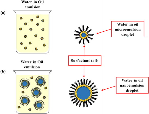 Figure 1. Graphic diagram of water-in-oil microemulsions (a) and nanoemulsions (b), consisting of oil, water and surfactant. The structure of the particles in both types of colloidal dispersion is similar, with a hydrophobic shell of oil and surfactant tails and a hydrophilic core of water and surfactant head groups.