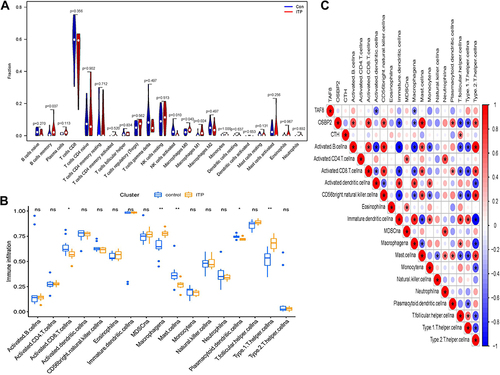 Figure 4 Immune cell infiltration analysis. (A) The results of CIBERSORT. (B) The results of ssGSEA analysis, *p<0.05, **p<0.01. (C) Correlation analysis based on the results of ssGSEA analysis. Blue represents negative correlation; red represents positive correlation.