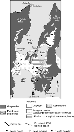 Figure 13  Map showing geology of Miramar peninsula and Kilbirine isthmus. Compiled from various sources; distribution of greywacke and Quaternary sediments (Begg and Mazengarb Citation1996); gravel bars, lake, lagoon, Pa site (Adkin Citation1959, Stevens 1974); uplifted 1855 beach (McKay 1879a; Bell Citation1910; Adkin Citation1955, 1956, 1957); Maori ovens, moa remains, granite boulder (Crawford 1873; McLeod Citation1912). Amount of uplift during the 1855 earthquake is shown for Balley Rock (off Point Jerningham) and the Evans Bay exit of a tunnel excavated through greywacke by Crawford to drain the lake in Miramar Valley.