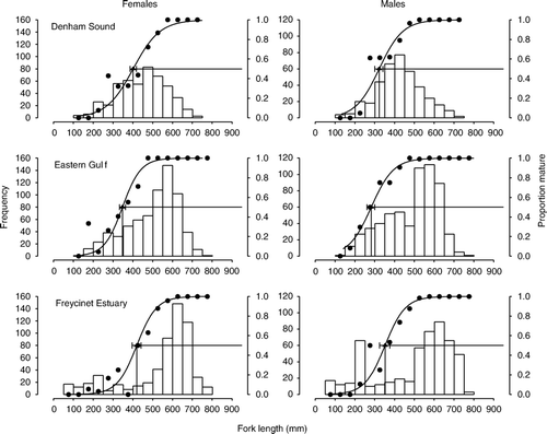 Fig. 2  Proportions of mature female and male Pagrus auratus in each 50-mm length class (•, right y-axis) during the peak spawning period in Denham Sound, Eastern Gulf and Freycinet Estuary, Western Australia, 1997–2004. Relationship between the proportion of mature fish and length fitted using logistic regression analysis. The numbers of samples within each length class are indicated by the vertical bars and left y-axis (note different scale for females and males). Values of mean length at 50% maturity, L 50, ±95% confidence intervals are indicated by horizontal bars on the fitted curves. (Sample sizes are given in Table 1.)