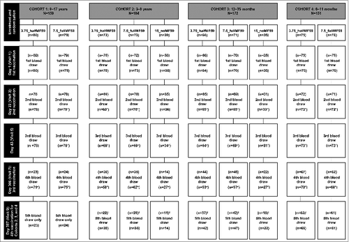 Figure 1. Subject disposition in each age cohort and vaccine group. *N values include blood draws outside the specified time window; †Fourth vaccination to be done only on the subset of naïve subjects <9 years of age. HI – hemagglutination inhibition.