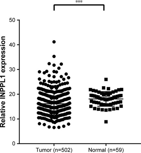 Figure 2 The mRNA expression of INPPL1 in TCGA cohort, including 502 PTC samples and 59 noncancerous thyroid samples.