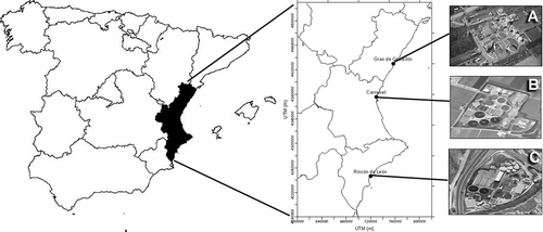Figure 1. Location of the different WWTPs (coordinates are in Universal Transverse Mercator, UTM): (A) Grao de Castellón (CAST); (B) Conca del Carraixet (CR); (C) Rincón de León (RL).