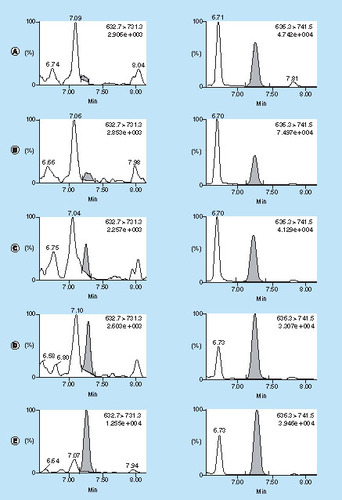 Figure 4. Extracted ion chromatograms of analyte DILLTQSPAILSVSPGER (632.7 ≥ 731.3) on the left and DILLTQSPAILSVSPGER [13C615N4] (636.3 ≥ 741.5) on the right at different load concentrations of infliximab in rat serum: (A) blank, (B) 5 ng/ml, (C) 10 ng/ml, (D) 20 ng/ml, (E) 100 ng/ml, (F) 200 ng/ml, (G) 500 ng/ml, (H) 1 μg/ml, (I) 2 μg/ml and (J) 10 μg/ml, spanning more than 3 orders of magnitude.The theoretical DILLTQSPAILSVSPGER end concentrations ranged from 15 pg/ml to 29 ng/ml. The DILLTQSPAILSVSPGER [13C615N4] end concentration was always 909 pg/ml.