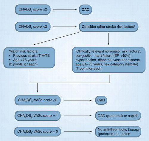 Figure 1. Clinical flowchart for thromboprophylaxis in atrial fibrillation.†Other stroke risk factors can be classified as ‘major’ risk factors and ‘clinically relevant non-major’ risk factors, that can also be expressed as the CHA2DS2-VASc score (see Table 1).CHADS2: Congestive heart failure, hypertension, age 75 years or older, diabetes, stroke (doubled); CHA2DS2-VASc: Congestive heart failure/LV dysfunction, hypertension, aged ≥75 years (doubled), diabetes mellitus, prior stroke/TIA/TE (doubled)–vascular disease, aged 65–74 years, sex category; EF: Ejection fraction; OAC: Oral anticoagulation therapy; TE: Thromboembolism; TIA: Transient ischemic attack.