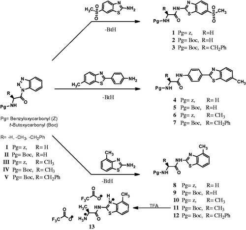 Scheme 1. Synthetic pathways of the new benzothiazole conjugate incorporating N-protected amino acid moieties.