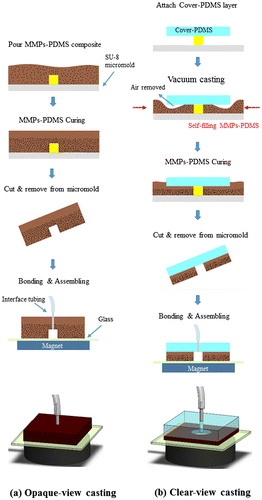 Figure 2. Schematic illustration of the (a) opaque-view and (b) clear-view MMPs-PDMS casting procedures.