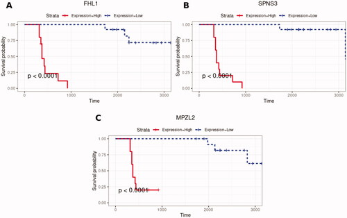 Figure 4. Kaplan–Meier’s plots of overall survival of patients with FLT3-ITD and NPM1/CEBPA mutations for survival scores above the median (continuous line), corresponding to high expression, and below the median (dotted line), corresponding to low expression, for the genes with positive Cox coefficients (A) FHL1, (B) SPNS3, and (C) MPZL2.