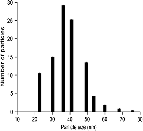 Figure 3. Histogram showing particle size distribution of gold nanoparticles.