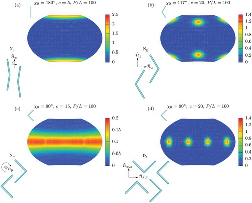 Figure 2. Examples of segment orientation distribution functions for stiff particles with for various preferred angles and densities c. For and c=5 (a) we find a prolate nematic N. For and c=20 (b) we find a biaxial nematic N where boomerangs align their long axis with the pole. For and c=15 (c) we find a oblate nematic N with director parallel to the pole. For and c=20 (d) we find a D phase with boomerangs having four equivalent preferred orientations related by a rotation of . Illustrations in the upper left corners show a boomerang with the corresponding interarm angle . Illustrations in the lower left corner show a schematic representation of each phase with the subscript on the nematic director indicating which particle axis is aligned along it, and with arrows around the director indicating symmetry under rotations around the director.