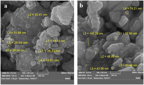 Figure 15. SEM image of SnO2 (a) and WO3 (b) nano adsorbent with coexisting Cl−, Cr2O7– and NO3− anions.