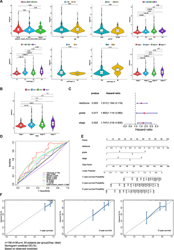 Figure 5 Clinical significance and independent prognostic analysis of the risk model (A) The correlation between risk score and patient parameters. (B) Risk score of different stages in HCC. (C) Forest maps of the univariate and multivariate Cox regression analysis, including risk score, grade, and stage. (D) ROC curves presented AUC value of risk score. (E) Nomogram based on risk score and clinical factors, including a prediction of 1-, 3-, and 5-year OS. (F) Calibration curves were predicted and observed 1-, 3-, and 5-year survival nomogram consistency.