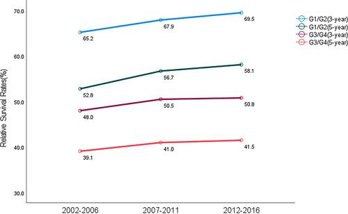 Figure 5 Trend and prediction of survival rate in patients with cecal adenocarcinoma of different grades.