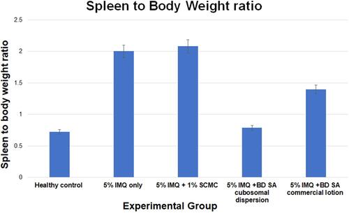 Figure 10 Spleen to body weight ratio among all groups on the 7th day of the experimental model.