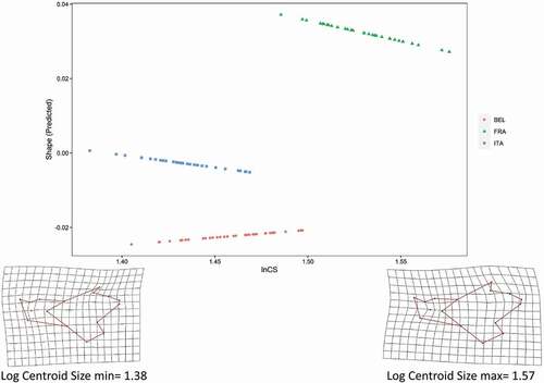 Figure 4. Allometric trajectories for the three population of Pallas’s squirrels, shown as the first principal component of predicted shape values vs log-transformed centroid size (lnCS). Shape changes related to variation of size are shown as deformation grids for the minimum and maximum lnCS