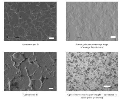 Figure 2 Scanning electron microscopy images of cp Ti compacts. Increased nanostructured surface roughness was observed on nanostructured compared with conventional cp Ti. Bar = 1 μm for nanostructured cp Ti and 10 μm for conventional cp Ti. In contrast to nanostructured cp Ti, scanning electron microscopy images of wrought Ti indicated a large degree of microsurface roughness. Acidic etching of the wrought Ti samples revealed grain sizes 20–50 μm (roughly equivalent to ASTM nr 7.5) under optical microscopy. Bar = 10 μm for wrought Ti (reference), and 50 μm for wrought Ti acid etched to reveal grain sizes.