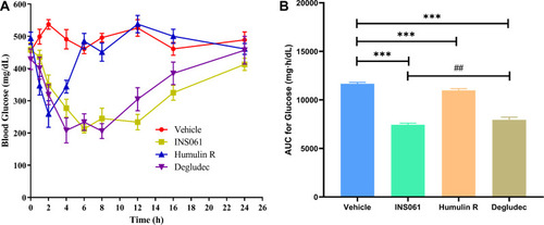 Figure 2 Blood glucose-lowering profiles of insulins at a dose of 100 nmol/kg in STZ-induced diabetic rats. (A) Blood glucose-time profiles, (B) AUC for glucose-time profiles, ***p<0.01, ##p<0.05. The values are expressed as an average with standard deviation.