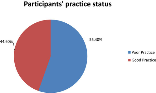Figure 4 Participants’ practice status regarding tuberculosis in Tepi general hospital, south western Ethiopia, May – June 2019 (N=415).