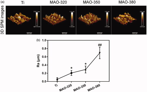 Figure 4. Average roughness (Ra) of the four groups of samples. (a) Three-dimensional SPM maps of the surfaces of the samples (scale bar = 6 μm). (b) Ra of the samples (*p < .05 compared with Ti; ##p < .01 compared with Ti, MAO-320 and MAO-350).