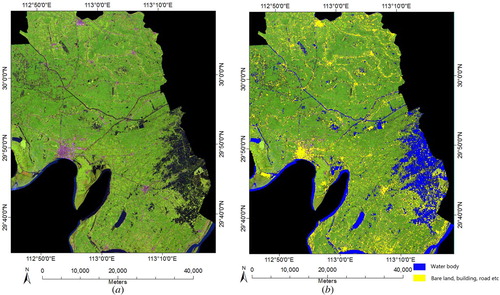 Figure 4. Masking non-vegetation areas: (a) False colour image composed from bands 6, 5, and 2; (b) the results of masking non-vegetation areas.
