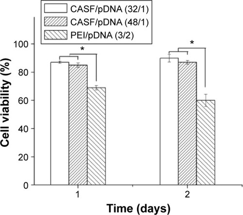Figure 5 The cell viability after treatment of EA.hy926 cells with CASF/pDNA (at different weight ratios) and PEI/pDNA complexes for 1 day and 2 days.Note: *P<0.05 compared with PEI/pDNA (n=3).Abbreviations: CASF, cationized Antheraea pernyi silk fibroin; pDNA, plasmid DNA; PEI, polyethyleneimine.