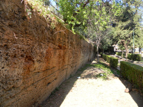 Figure 6. Ancient front of an historical opencast quarry cut in the calcarenite of Marsala and located in the current public garden ‘Villa Garibaldi’, within the Palermo town.