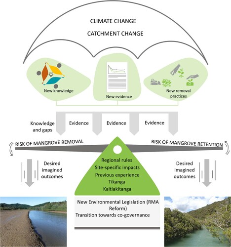 Figure 4. Current and future factors that influence the outcome of mangrove removal consent application.