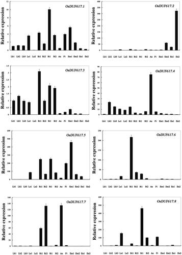 Figure 2. Real-time PCR analysis of OsDUF617 genes in different tissues of Nipponbare rice. Fifteen representative tissues are as follows: Lb1, leaf blade at four-leaf stage; Lb2, leaf blade from plants with four tillers; Lb3, leaf blade at ripening stage; Ls1, leaf sheath at four-leaf stage; Ls2, leaf sheath from plants with four tillers; Rt1, root at four-leaf stage; Rt2, root from plants with four tillers; St1, stem from plants with four tillers; St2, stem at ripening stage; An, 1.2–1.5 mm anther; Pi, pistil from 10–14 cm inflorescence; Em1, embryo at 7 days after flowering; Em2, embryo at 28 days after flowering; En1, endosperm at 7 days after flowering; En2, endosperm at 28 days after flowering.Note: The rice Actin1 transcript levels were used as internal controls. Error bars indicate standard error of the means based on three biological replicates.