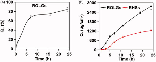 Figure 5. Resveratrol release and permeation from ROLGs. (A) In vitro resveratrol release profile of ROLGs. (B) In vitro resveratrol cornea permeation profiles of ROLGs and RHSs.