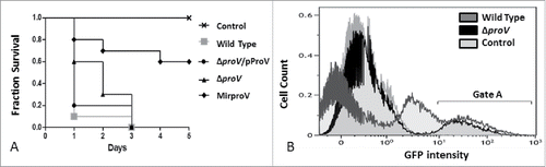 Figure 5. Testing S. sonnei virulence in vivo using G. mellonella larvae. (A) Fraction survival of G. mellonella larvae model challenged by 105 CFU of wild type S. sonnei strain 20071599 (gray square), the complemented strain (ΔproV/pProV) (black circle), ΔproV (black triangle) and the MirproV (black trigonal), using saline as a control (crosses). The observation lasted for 5 d. The results are means of 3 successive groups (n = 10 larvae). (B) Overlaid histogram of the flow cytometry analysis of hemocytes isolated from G. mellonella larvae mock-infected as a control (light gray), challenged by S. sonnei wild strain 20071599 (dark gray) or by ΔproV (black). Both S. sonnei strains were expressing EGFP. Hemocytes were isolated 4 hours post infection for analysis; gate A depicts hemocytes emit GFP signals.