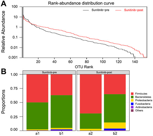 Figure 5 Bacteroides in patients with sunitinib. (A) Rank-abundance distribution curve. The bacterial diversity increased after sunitinib treatment. (B) Microbial community composition of patients before and after treatment. The abundance of Bacteroides was decreased in patients with sunitinib.