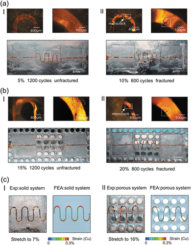 Figure 5. Fatigue experimental results. (a) Optical images of the island-bridge structures on a solid elastomer substrate with the solid encapsulation: the unfractured state after 1200 cycles at 5% uniaxial tensile (I) and the fractured state with a microcrack after 800 cycles at 10% uniaxial tensile (II). (b) Optical images of the island-the bridge structures on a porous elastomer substrate with the porous encapsulation: the unfractured state after 1200 cycles at 15% uniaxial tensile (I) and the fractured state with a microcrack after 800 cycles at 20% uniaxial tensile (II). (c) Comparison results between experiment images and FEA predictions focusing on the deformed configurations and strain distribution of fully bonded serpentine interconnects when stretched to the elastic limits for the encapsulated solid (I) and porous (II) substrates. Notably, the FEA images were captured with serpentine interconnects displayed on the top layer (with the encapsulation layer hidden), to clearly reveal the deformations and strain distribution in the metal layer.