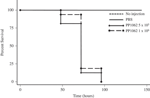 Figure 2. P. pannorum reduced survival of the G. mellonella infection host. Larvae infected and incubated at 15°C experienced decreased survival compared to larvae injected with PBS per dosage indicated.