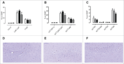 Figure 5. No signs of toxicity in the spleen and brain of AX09-0M6 treated mice. (A-C) FACS analysis of SPC from mice left untreated (white bars) or vaccinated with MS2 wt (black bars) or AX09-0M6 (gray bars). A) Percentage ± SEM of CD11c+ dendritic cells, Ly6G+Ly6C+ neutrophils and F4/80+ macrophages among the CD45+ cell population. (B) Percentage ± SEM of xCT+ CD11c+ dendritic cells, Ly6G+Ly6C+ neutrophils and F4/80+ macrophages among the CD45+ cell population. (C) Percentage ± SEM of xCT+ HLA class II+ M1, HLA class II+ CD206+ M1/M2, CD206+ M2 and HLA class II− CD206− M0 F4/80+ macrophages among the CD45+ cell population. (D-F) F40/80 immunohistochemical staining in brain from untreated (D), MS2 wt (E) and AX09-0M6 (F) representative mice; microglial cell processes are stained in brown. (20X, scale bar 100 µm).