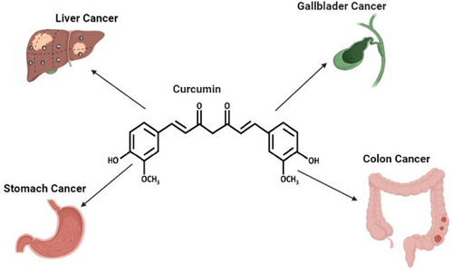 Figure 1. Scheme of therapeutic potentials of curcumin against gastrointestinal cancers.
