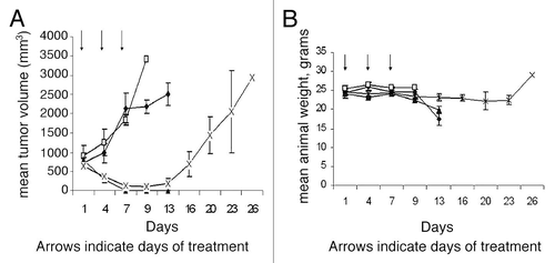 Figure 2 MTA protects host tissues but not MTAP-deficient tumor cells from 6-TG toxicity. (A) NOD-SCID mice (N = 6, per group) were inoculated with one million CCRF-CEM human lymphoblastic leukemia cells and when tumor size was 500 mm3 the mice were treated with either 6-TG, MTA or the combination of the two drugs (MTA followed one hour later by 6-TG) or saline, ♦ control; □, MTA; 100 mg/kg; ▴, 6-TG, 75 mg/kg; X, MTA, 100 mg/kg plus 6-TG, 75 mg/kg. (B) Effect of treatments on body weights. Control and MTA treated mice were sacrificed by day 13 due to large tumors. 6-TG treated mice also died by day 13, due to 6-TG toxicity, while marked tumor regression with minimal toxicity was noted (<10% weight loss) in mice treated with MTA followed one hour later by 6-TG. Vertical bars: SD. (♦, control; □, MTA; 100 mg/kg; ▴, 6-TG, 75 mg/kg; X, MTA, 100 mg/kg plus 6-TG, 75 mg/kg).