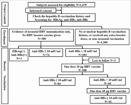 Figure 1. The flow diagram of participants through the study.