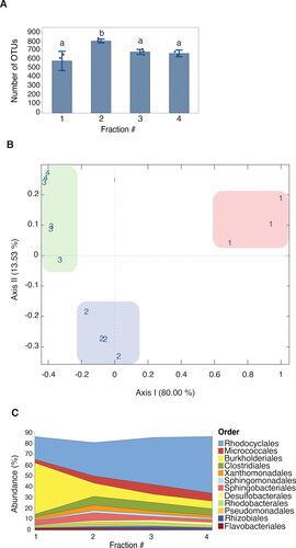 Figure 2. Composition of the bacterial microbiota per biofilm fraction through 16S rRNA sequencing showing differences in the mean OTU richness (A), taxonomic distribution (B), and relative abundance of OTUs (C). (a) Overall, fraction 2 showed the highest OTU richness. Different letters indicate significant differences between fractions (ANOVA < 0.005). Error bars represent standard error of the mean (n = 4). (B).Principal coordinate analysis (PCoA) score plots on the relative abundance of OTUs (97% similarity level) using Bray-Curtis dissimilarity matrix. The numbers in the colored boxes correspond to the fraction number and the different colored boxes represent the three compositional clusters identified. (C) Percentage OTU abundances indicate the mean average of each individual fraction. The percentage does not add up to a 100% as all fractions contained OTUs not identified at the order level by the Silva database.