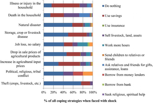 Figure 2. Coping strategies when faced with shock.