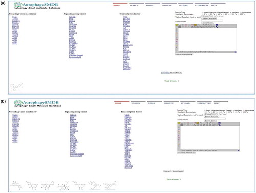 Figure 4. Similarity search using advanced Catalog. (a) Screenshot of advanced catalog page displaying 100% similar small molecules structures of MTOR and AMPK, and (b) Screenshot of advanced catalog page displaying 80% similar small molecules structures of MTOR and AMPK.